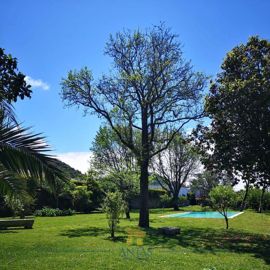 אספוסנדה Antas Guest House מראה חיצוני תמונה