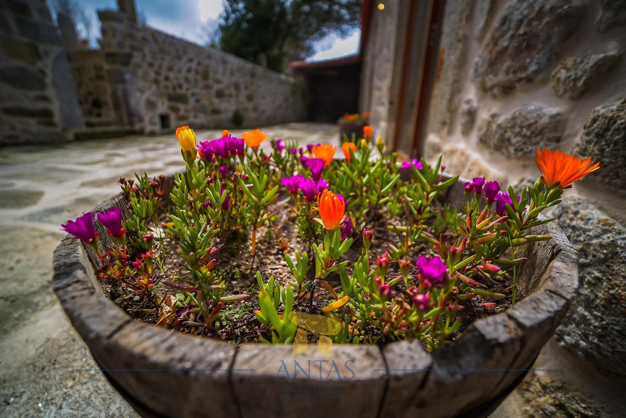 אספוסנדה Antas Guest House מראה חיצוני תמונה